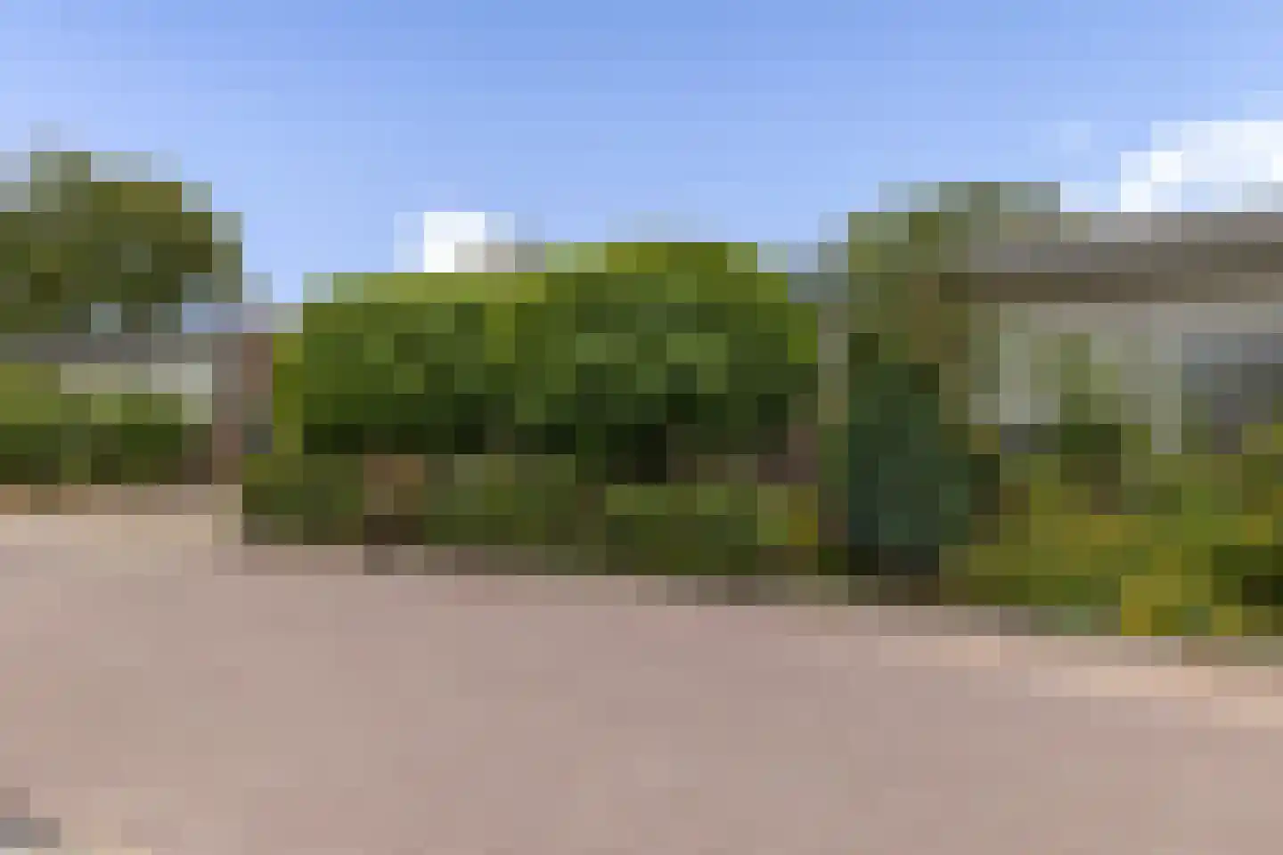 De Moor 5 West-Graftdijk thumbnail 48