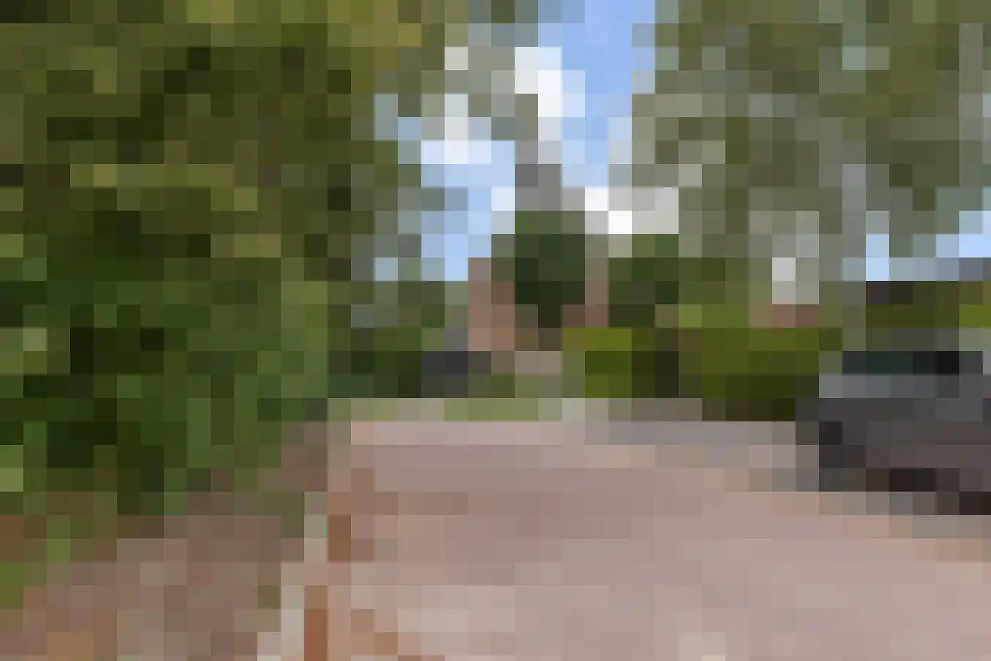 De Moor 5 West-Graftdijk thumbnail 52