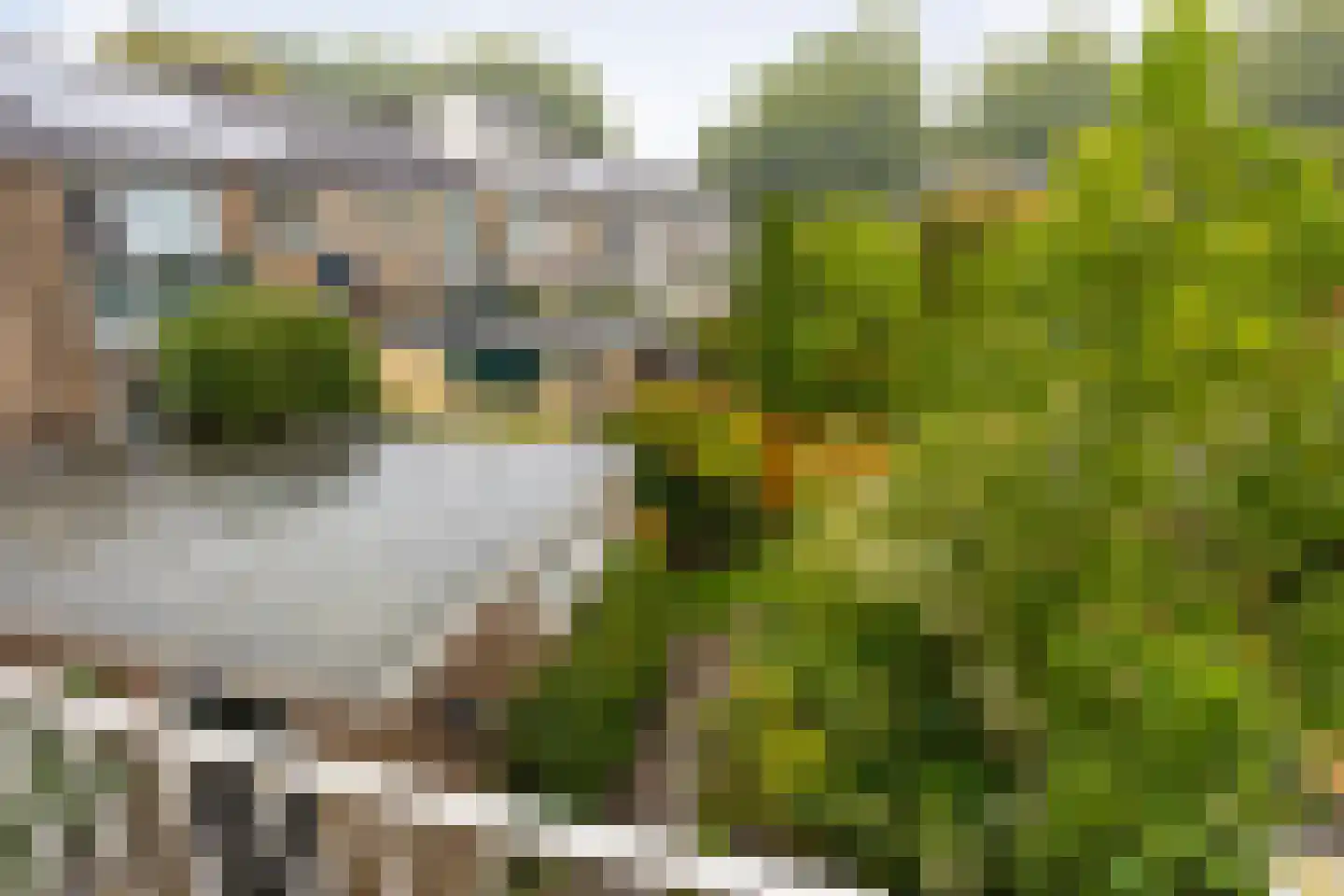 De Moorstraat 14 Arnhem thumbnail 25