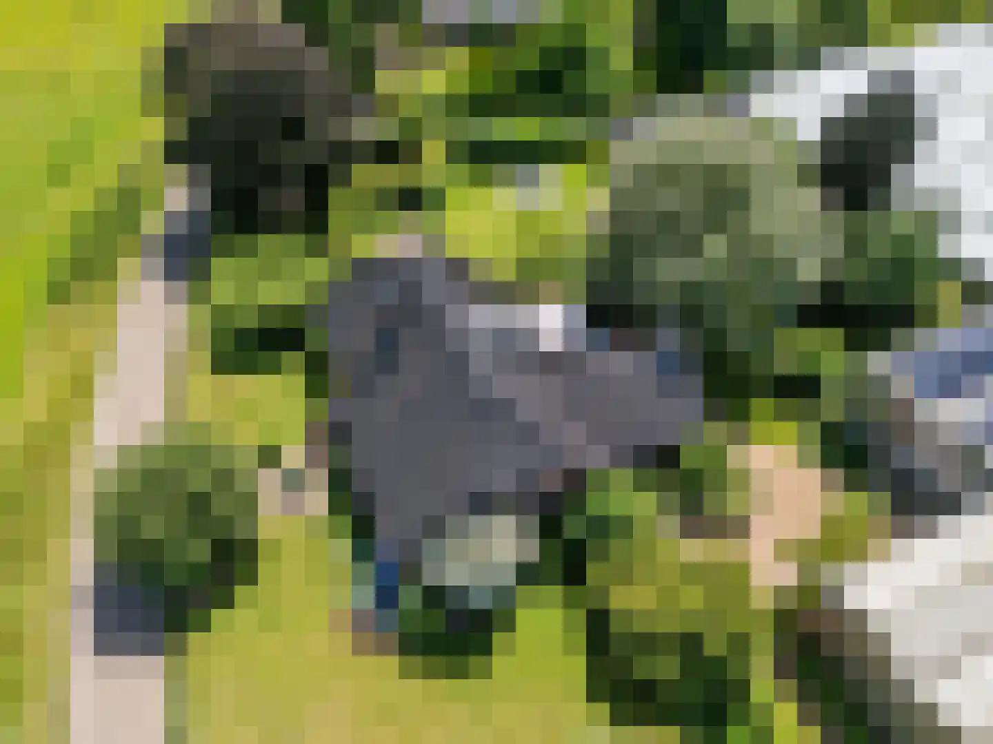 de Mooyweg 64 Venlo thumbnail 100
