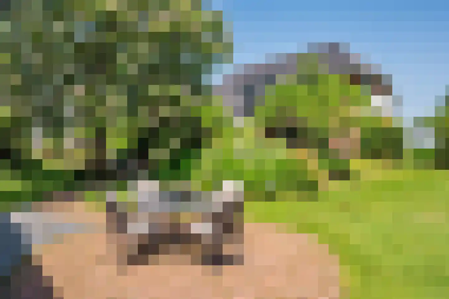 de Mooyweg 64 Venlo thumbnail 102