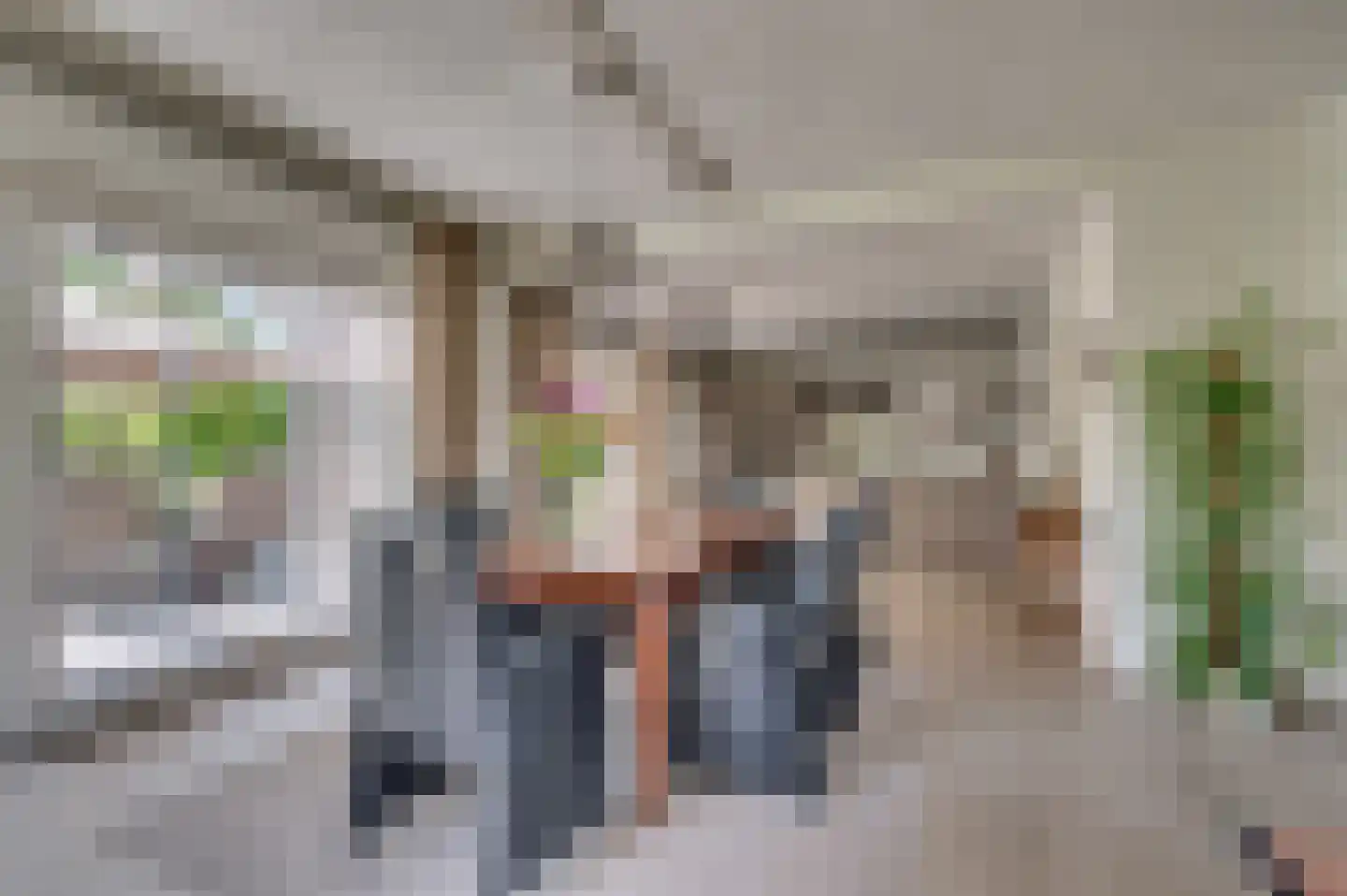 de Mooyweg 64 Venlo thumbnail 12