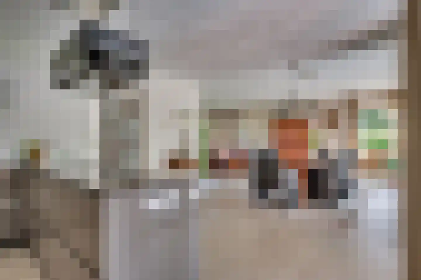 de Mooyweg 64 Venlo thumbnail 15