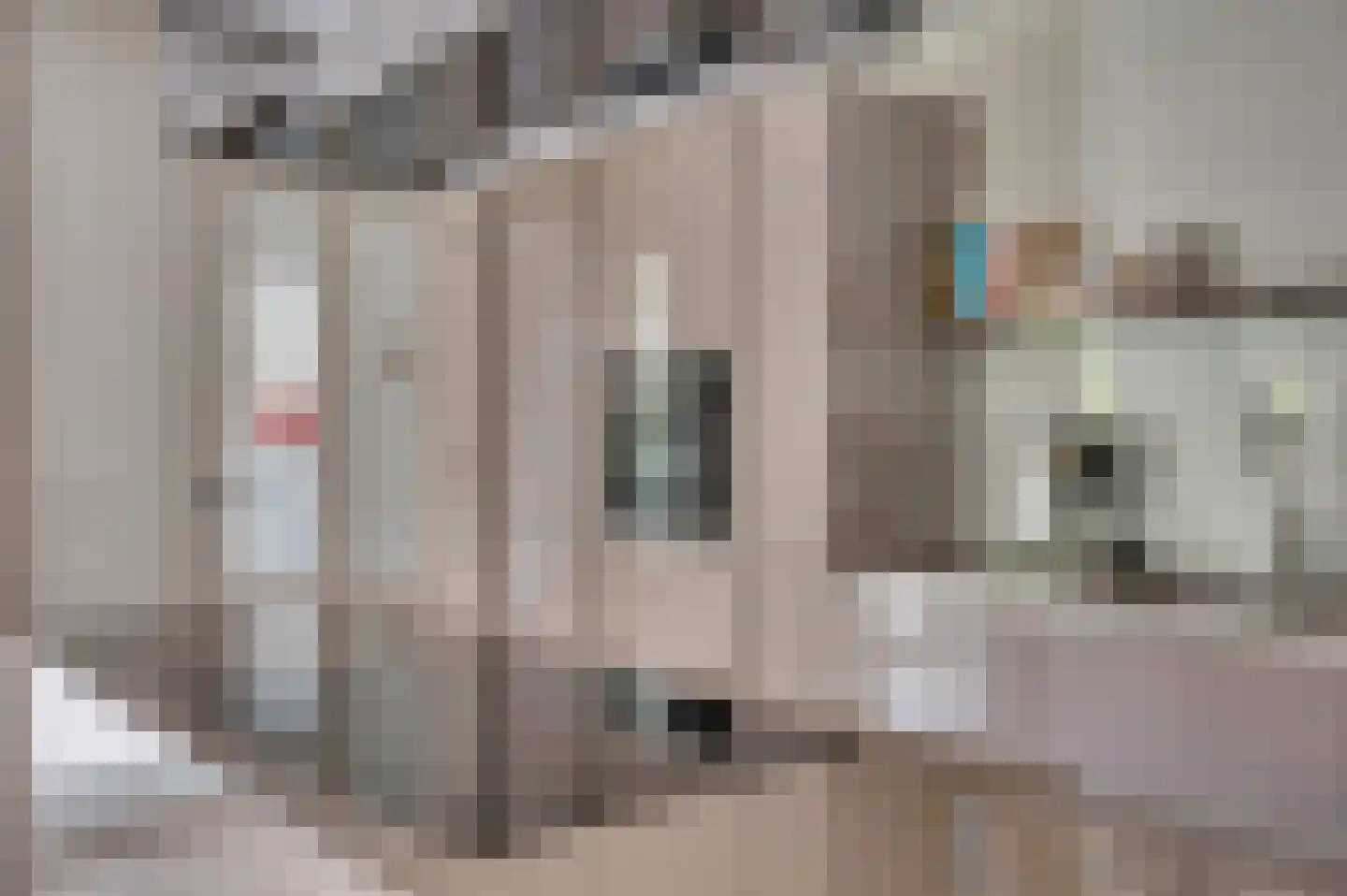 de Mooyweg 64 Venlo thumbnail 20
