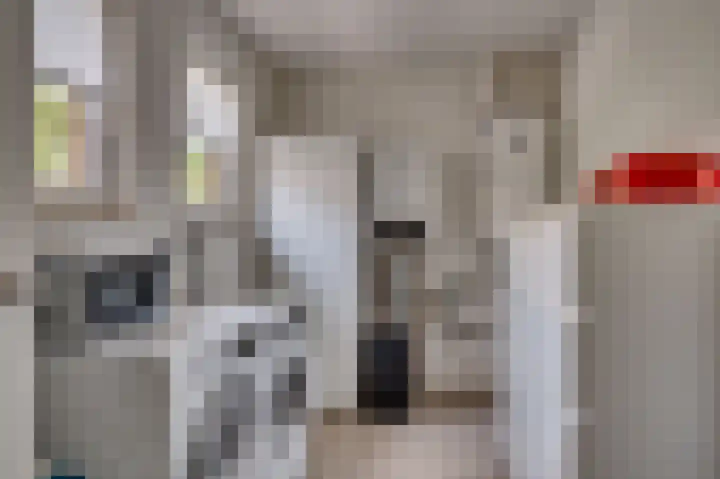 de Mooyweg 64 Venlo thumbnail 30