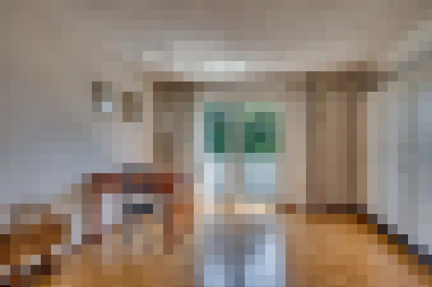 de Mooyweg 64 Venlo thumbnail 37