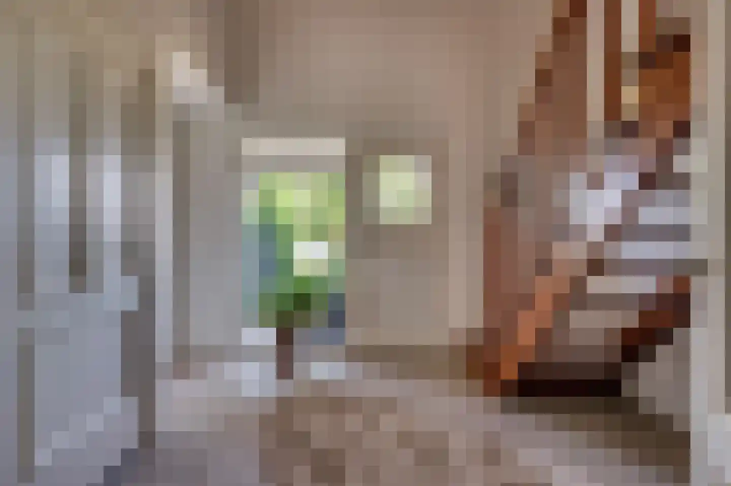 de Mooyweg 64 Venlo thumbnail 4