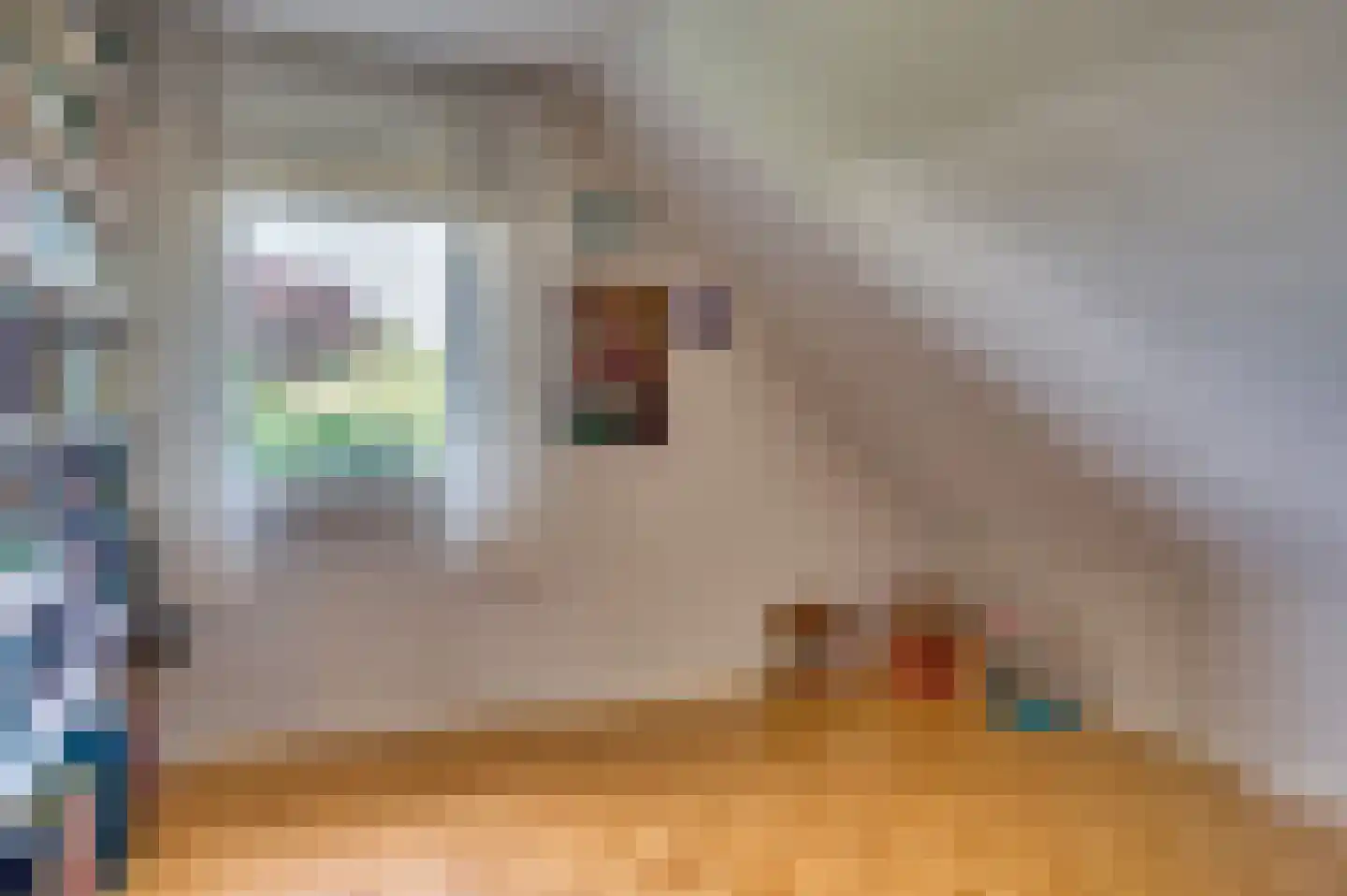 de Mooyweg 64 Venlo thumbnail 43