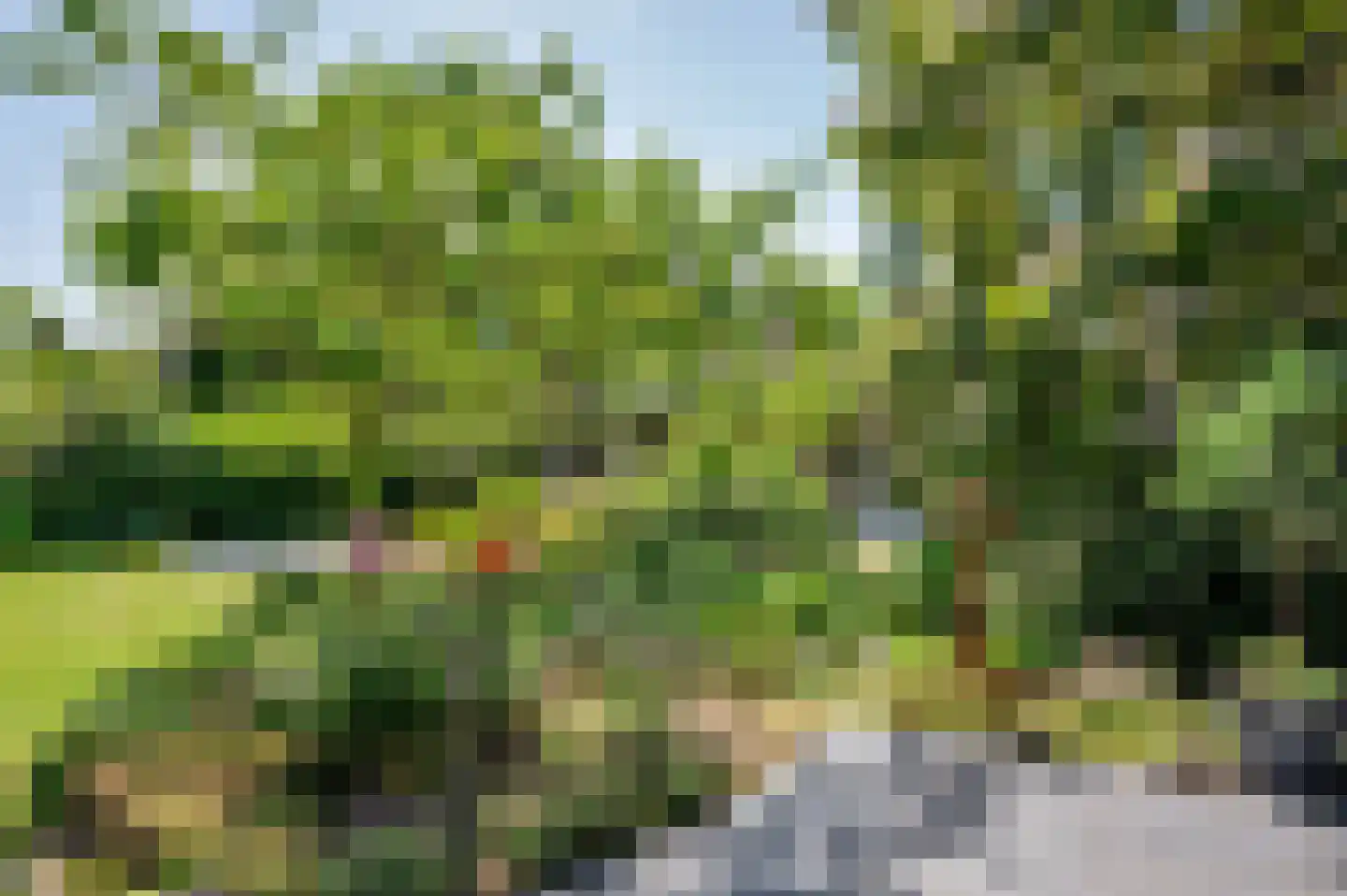 de Mooyweg 64 Venlo thumbnail 55