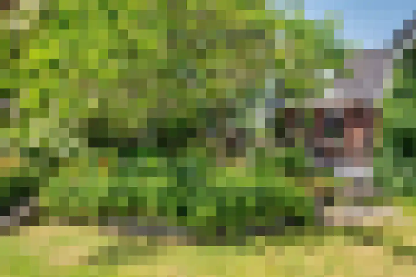de Mooyweg 64 Venlo thumbnail 57