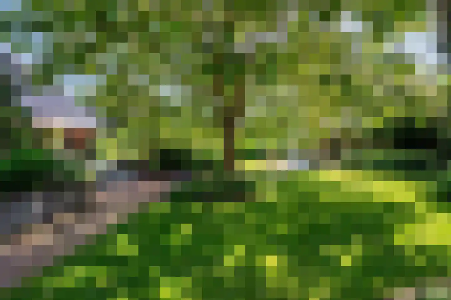 de Mooyweg 64 Venlo thumbnail 59