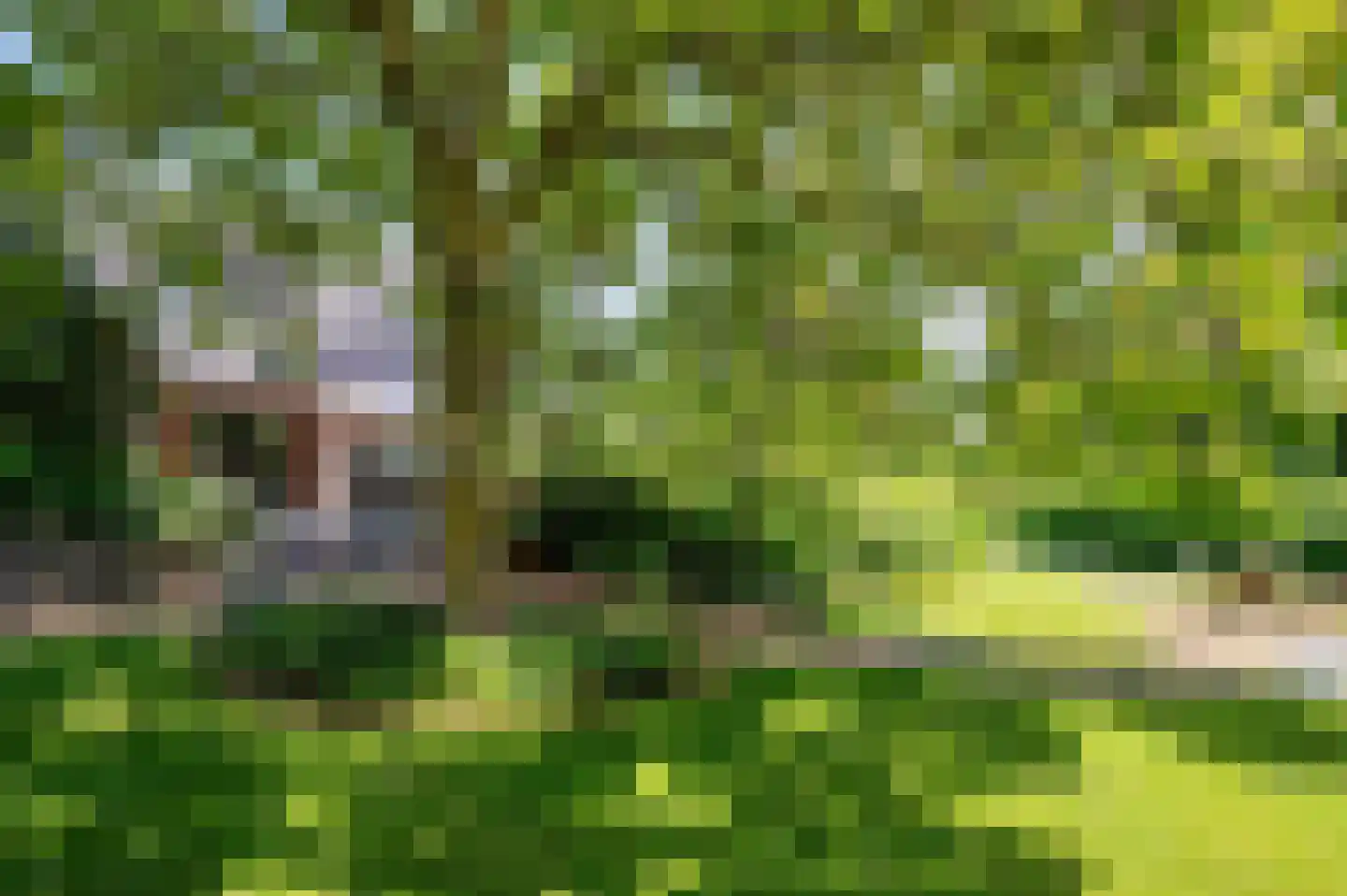 de Mooyweg 64 Venlo thumbnail 60