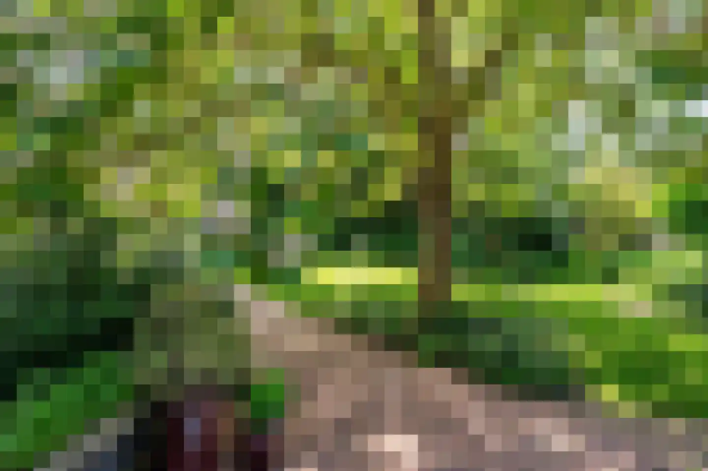 de Mooyweg 64 Venlo thumbnail 61