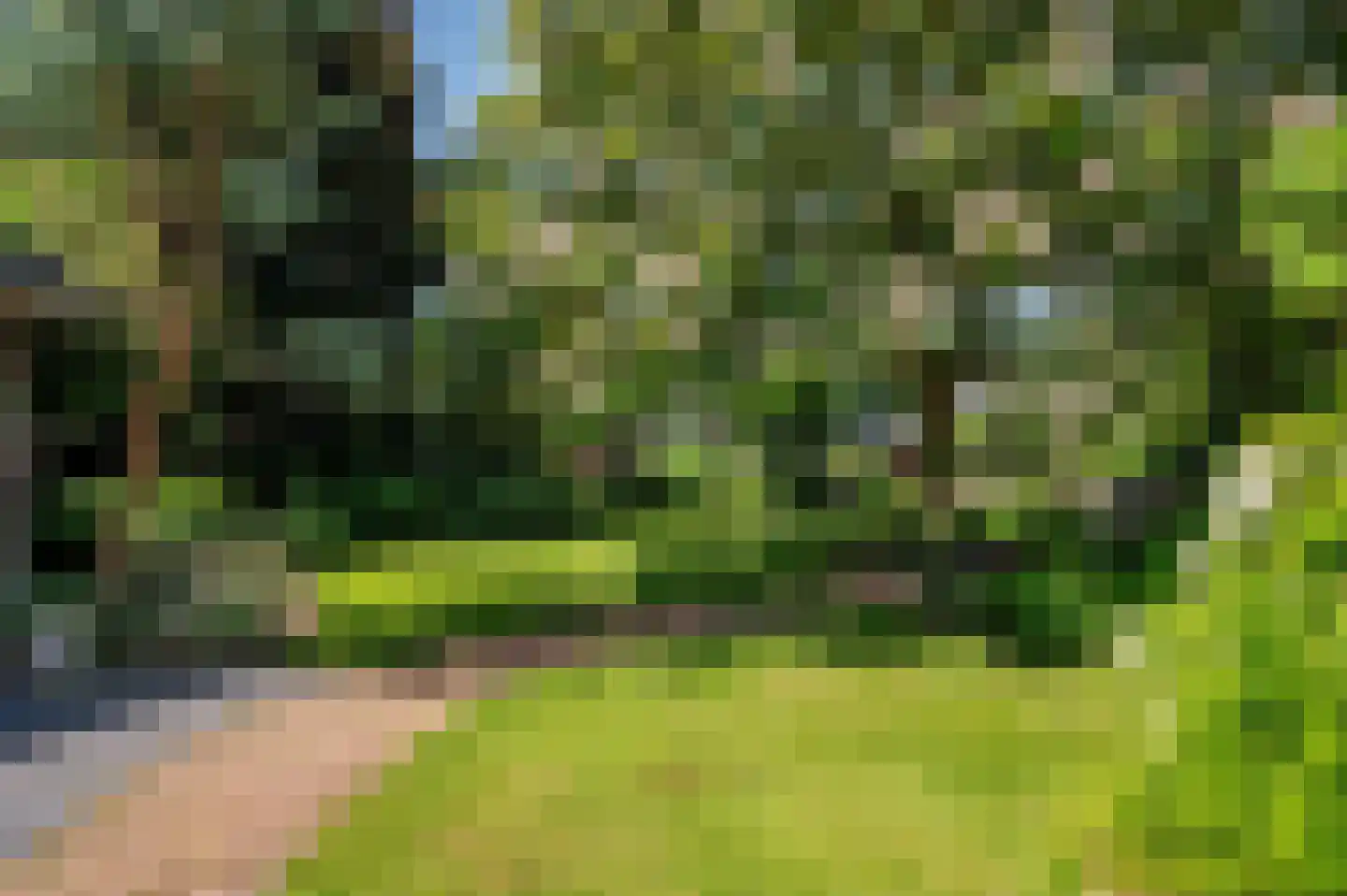 de Mooyweg 64 Venlo thumbnail 62