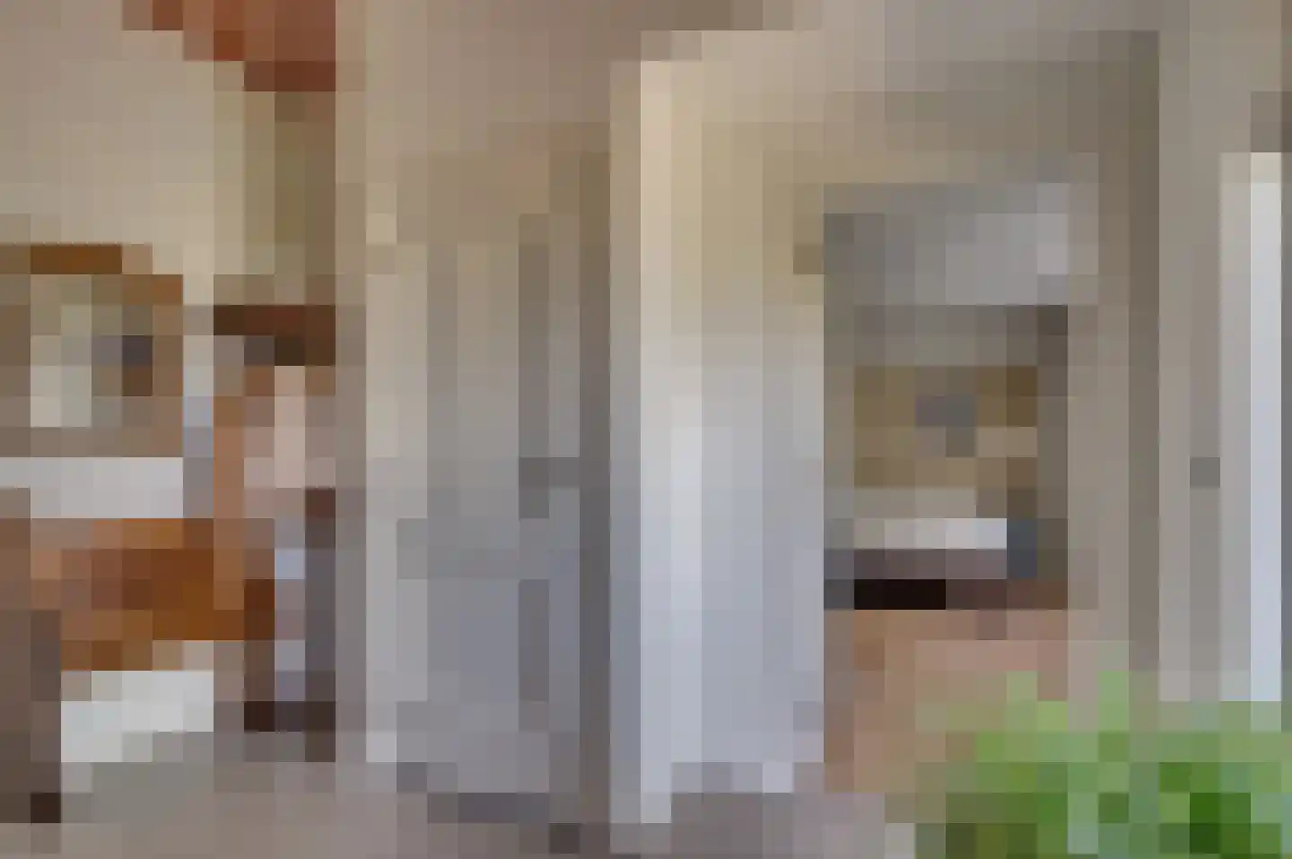 de Mooyweg 64 Venlo thumbnail 7