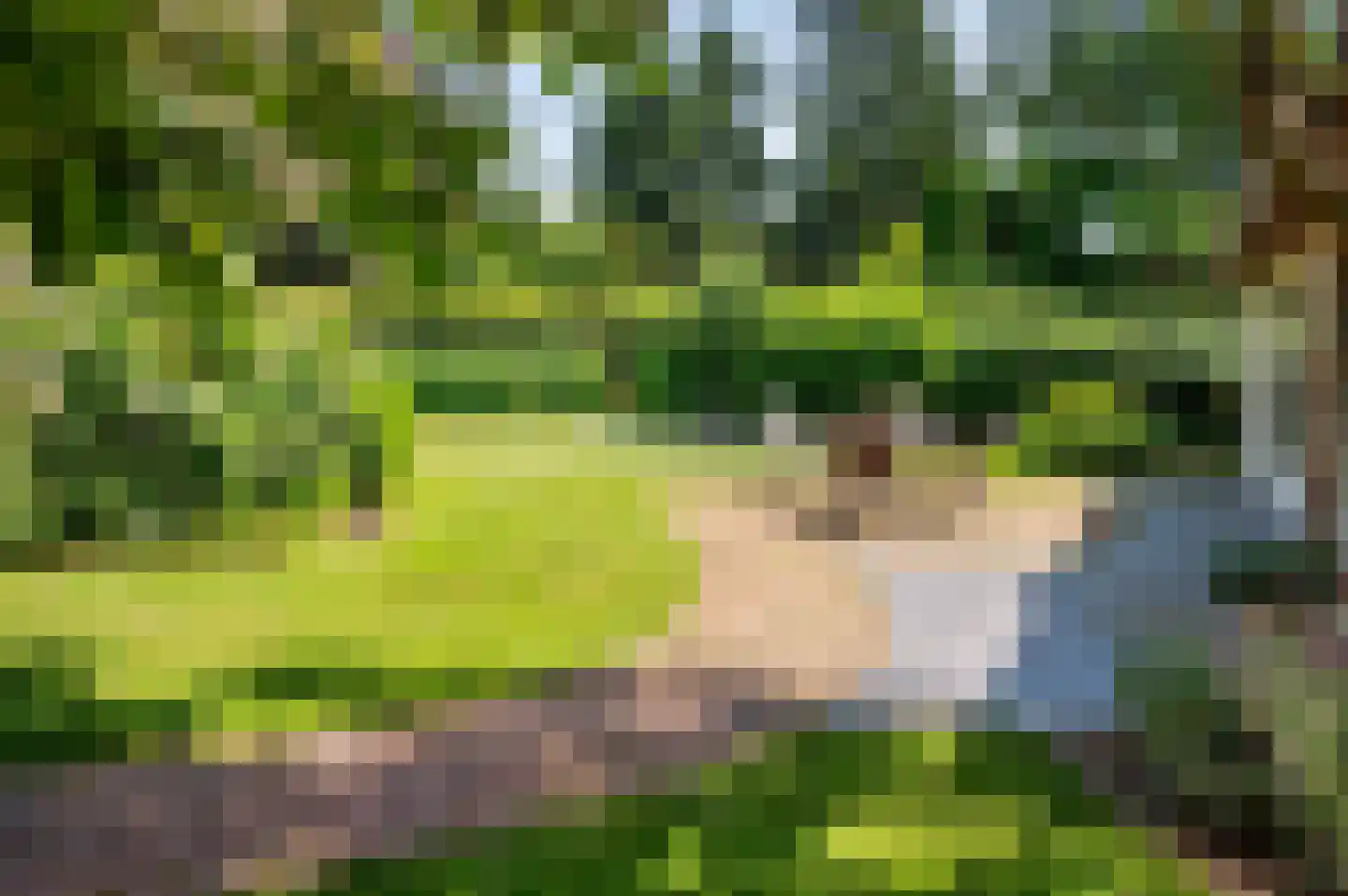 de Mooyweg 64 Venlo thumbnail 74