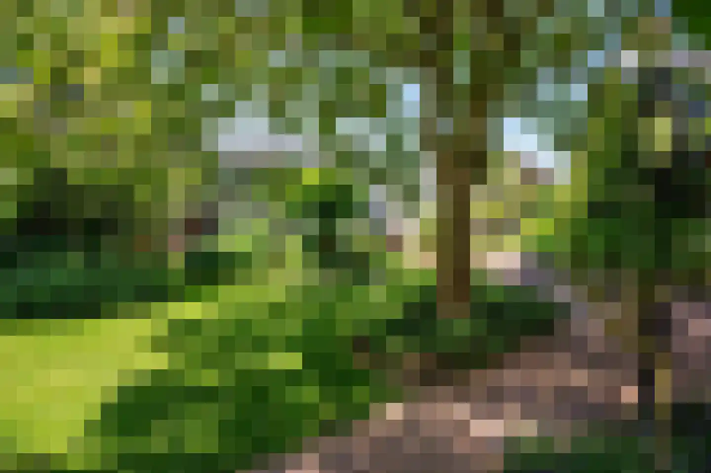 de Mooyweg 64 Venlo thumbnail 75