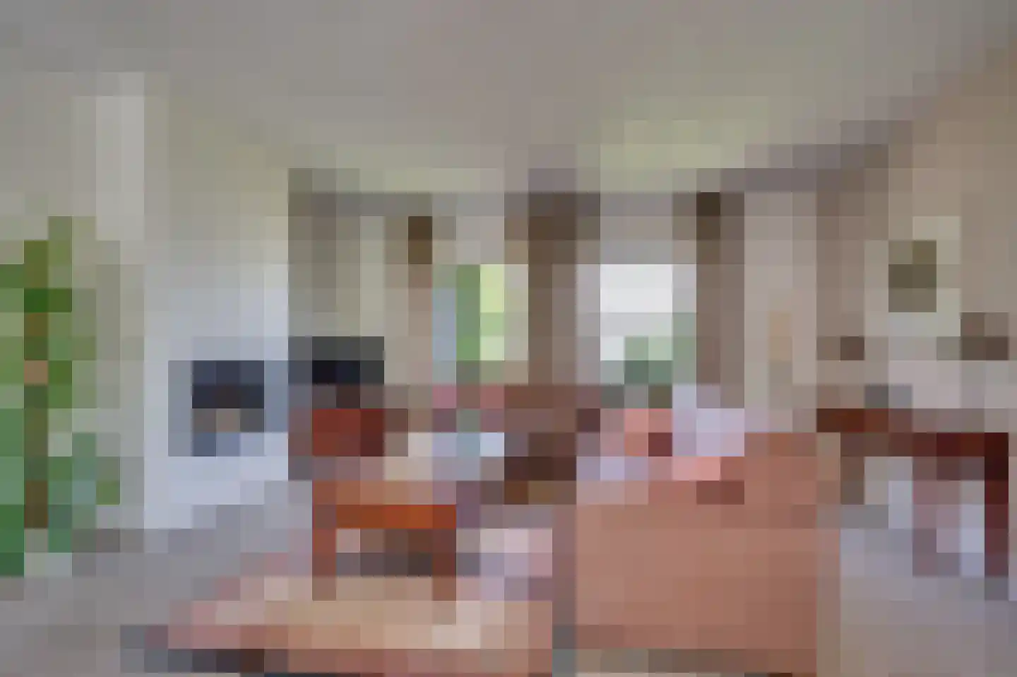 de Mooyweg 64 Venlo thumbnail 8