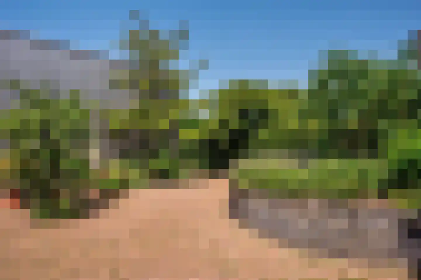 de Mooyweg 64 Venlo thumbnail 83