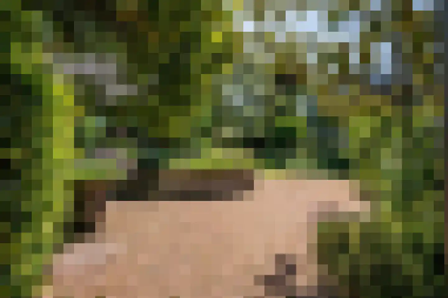 de Mooyweg 64 Venlo thumbnail 86