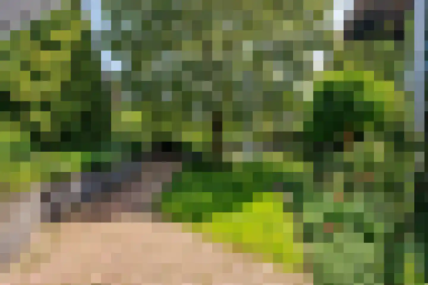 de Mooyweg 64 Venlo thumbnail 87