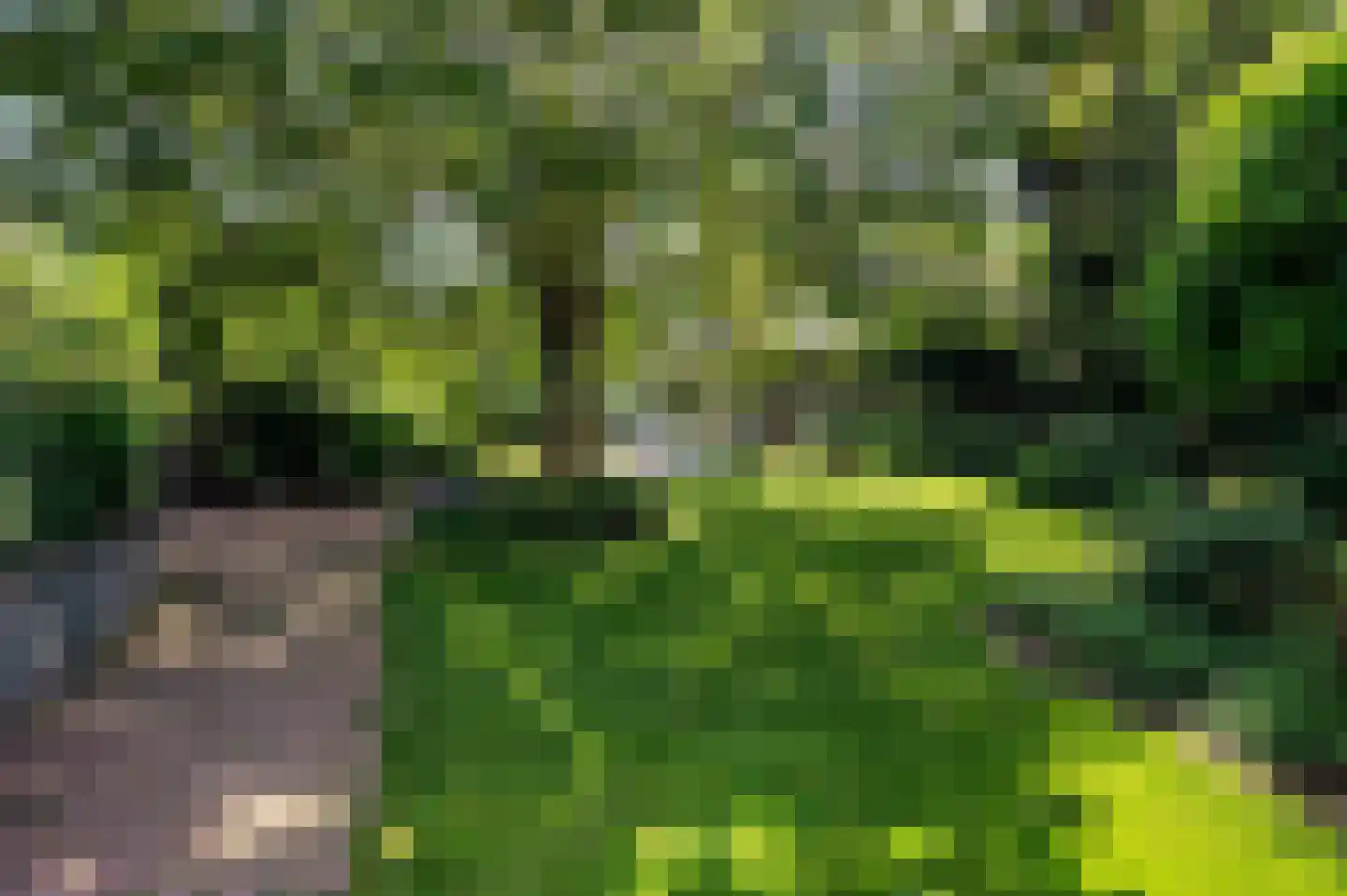 de Mooyweg 64 Venlo thumbnail 88