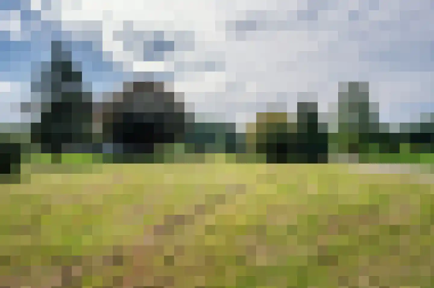 de Mooyweg 75 Venlo thumbnail 49