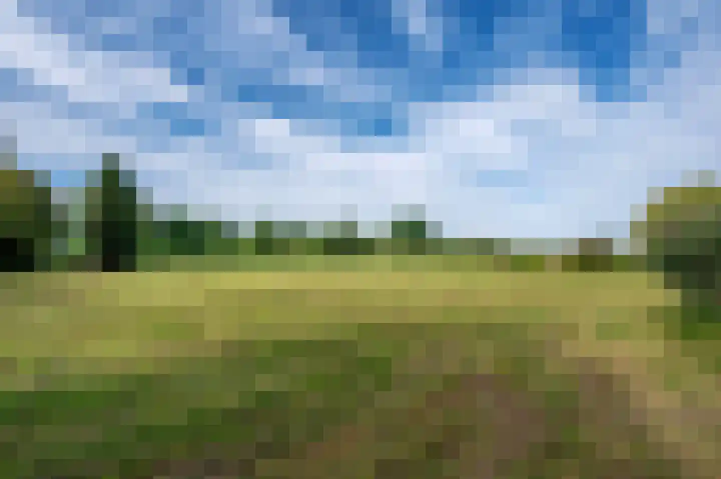de Mooyweg 75 Venlo thumbnail 54