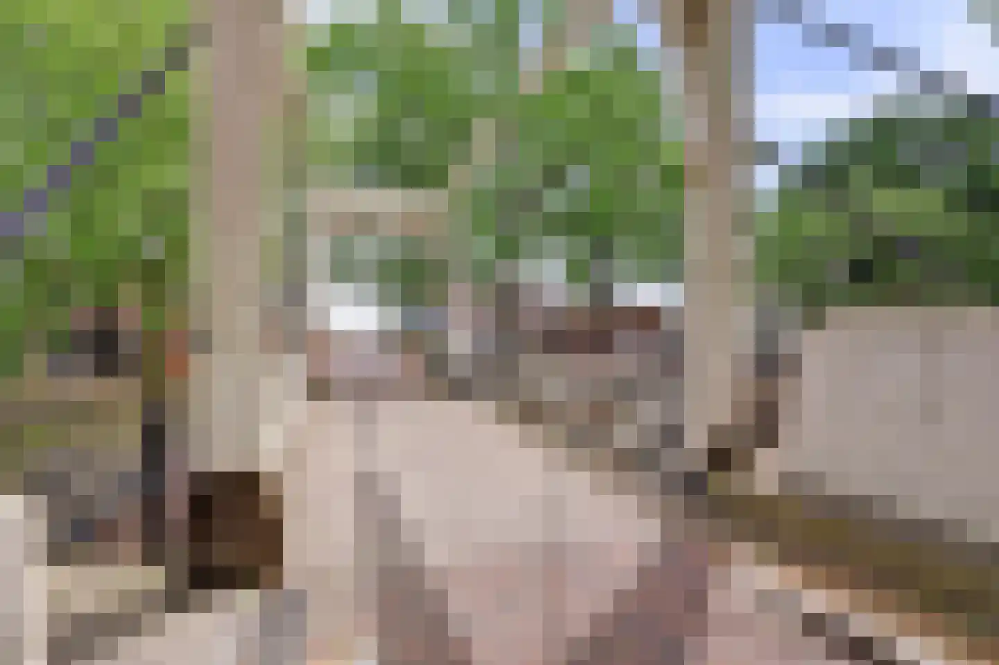 De Moreestraat 3 Nieuwegein thumbnail 38