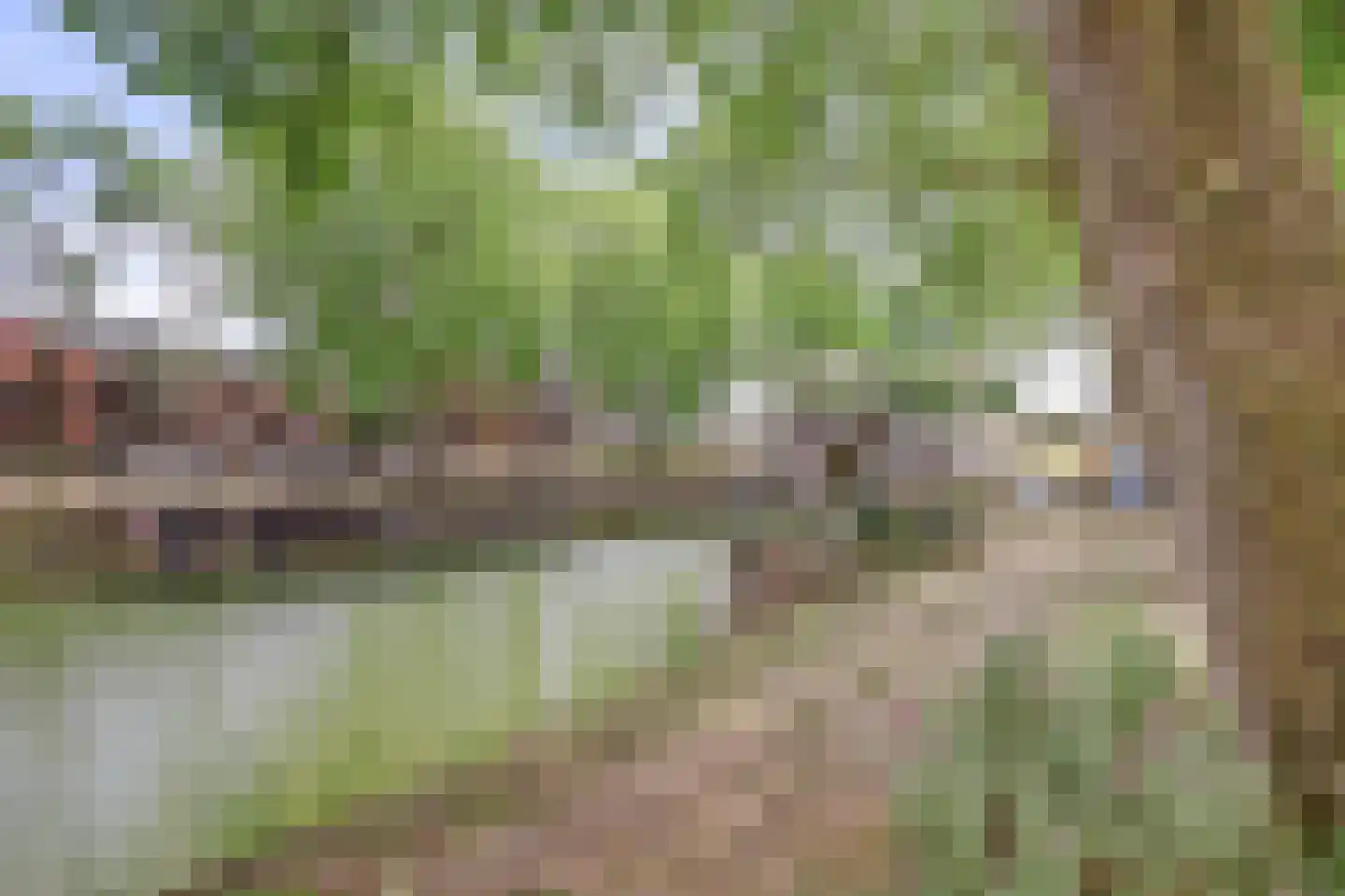 De Moreestraat 3 Nieuwegein thumbnail 39