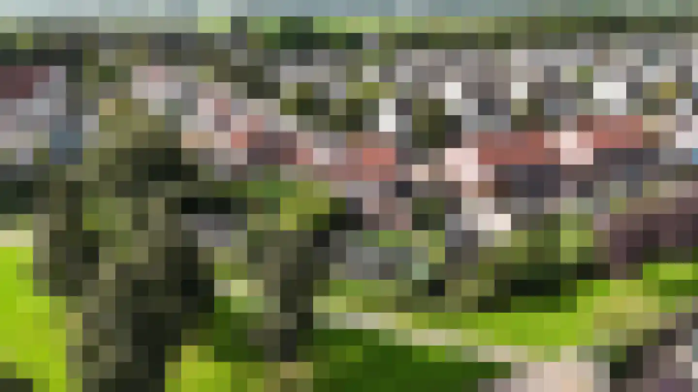 De Morgen 24 Dronten thumbnail 44
