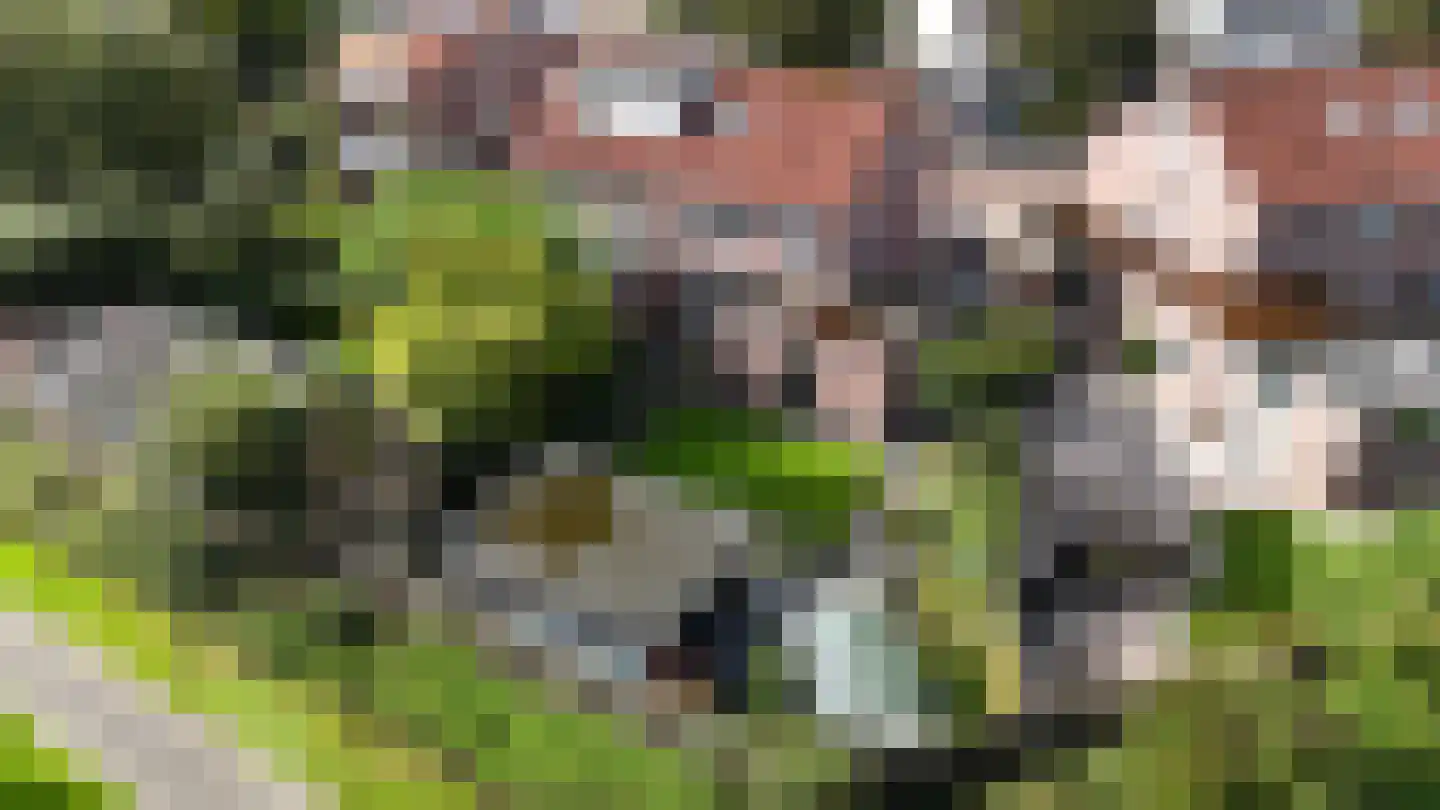 De Morgen 24 Dronten thumbnail 45