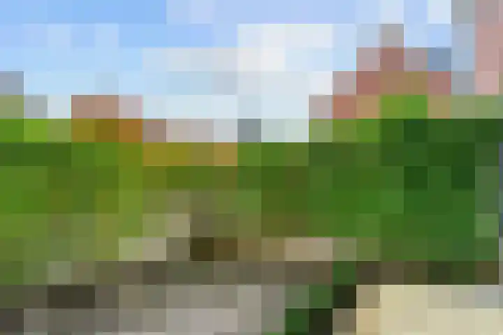 De Morgenstond 19 Amstelveen thumbnail 19