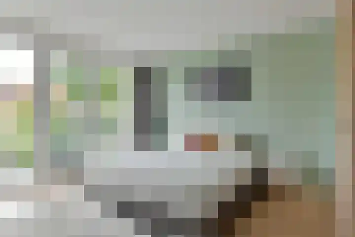 De Morgenstond 25 Amstelveen thumbnail 16