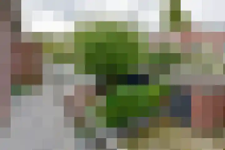 De Morgenstond 25 Amstelveen thumbnail 18