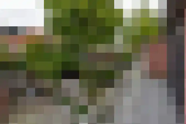 De Morgenstond 25 Amstelveen thumbnail 19