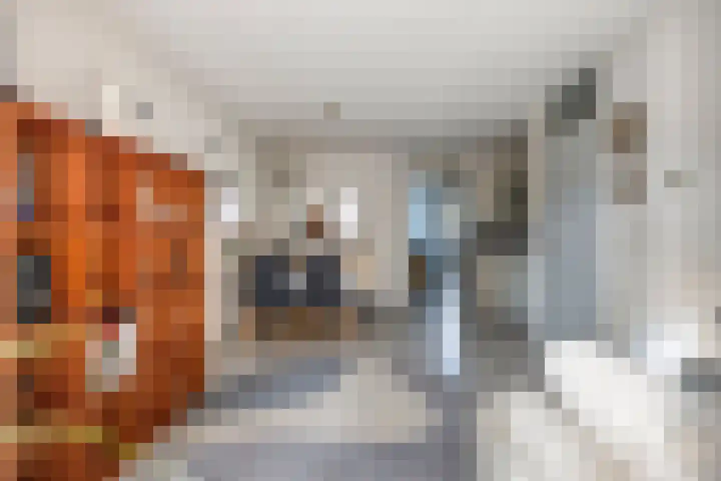 de Moriaan 26 Oirschot thumbnail 11