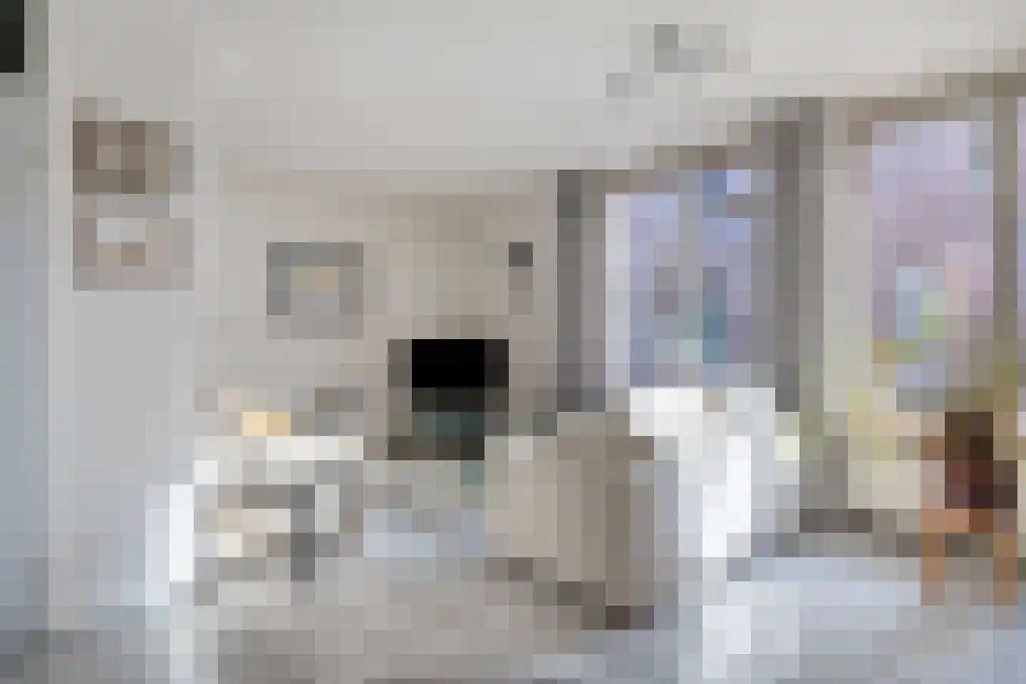 de Moriaan 26 Oirschot thumbnail 12