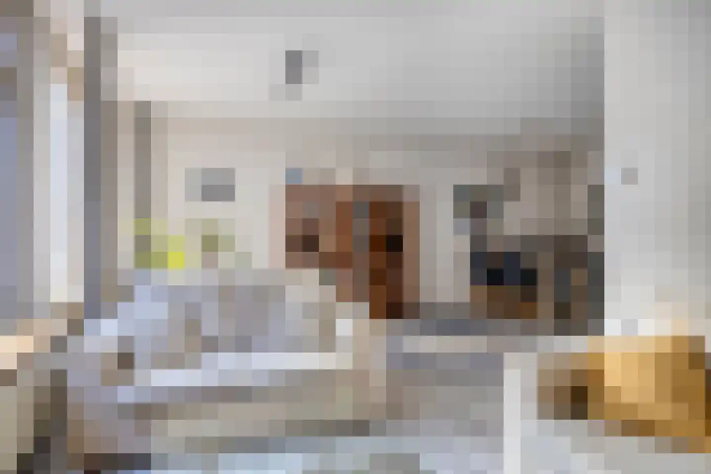de Moriaan 26 Oirschot thumbnail 14