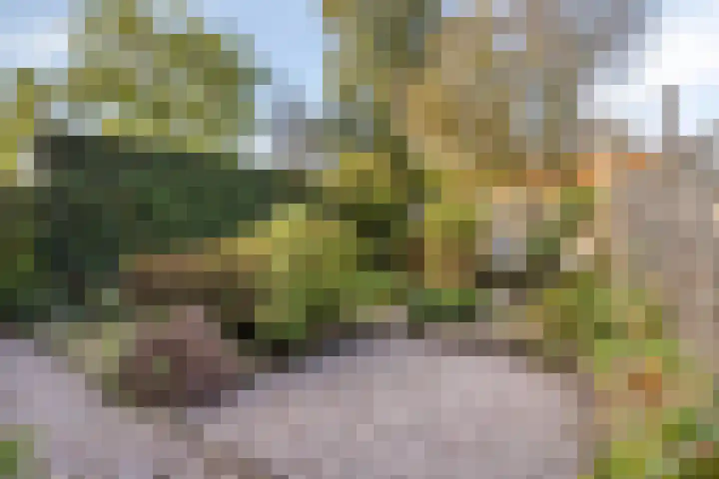 de Moriaan 26 Oirschot thumbnail 29