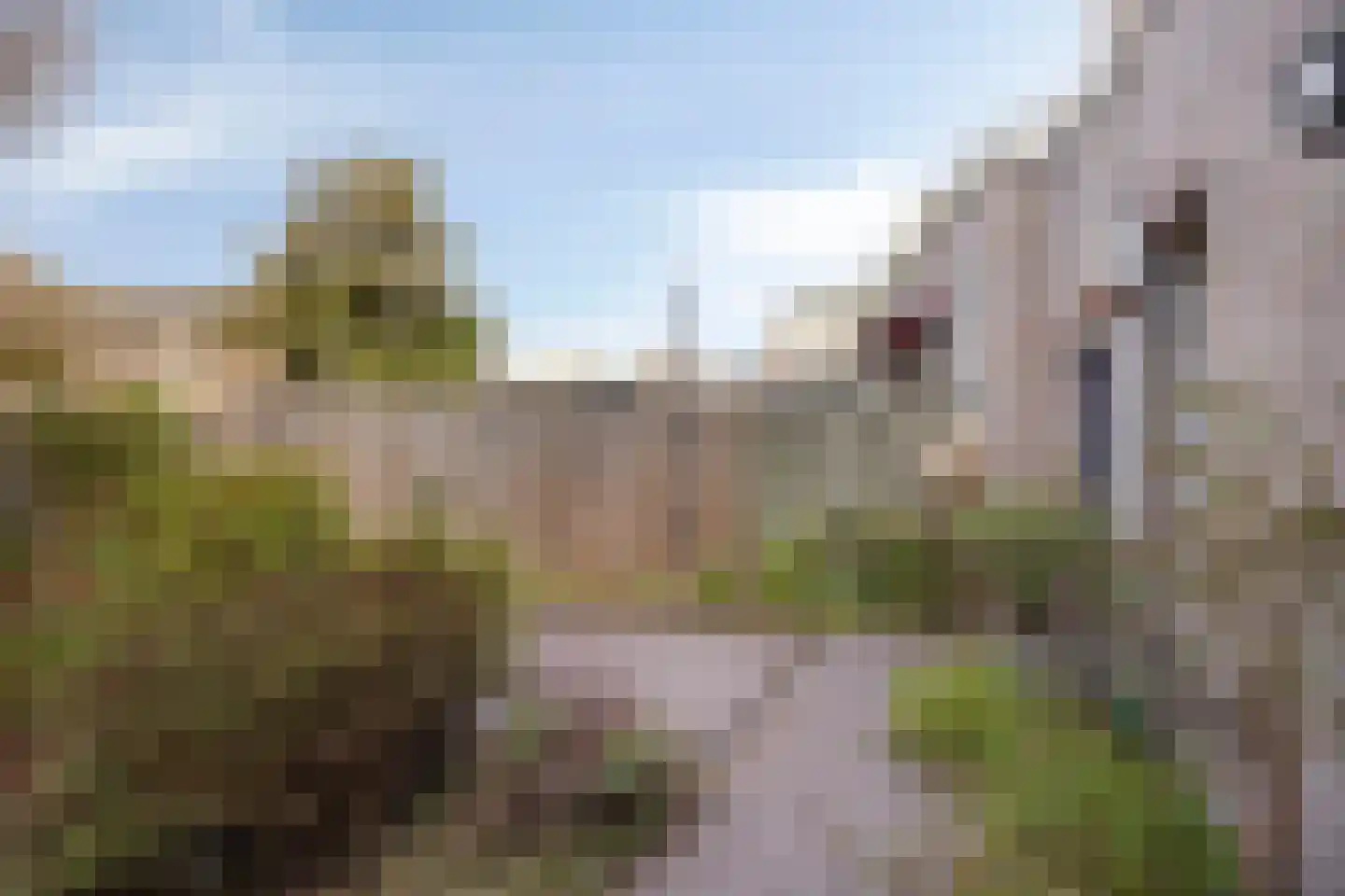 de Moriaan 26 Oirschot thumbnail 30