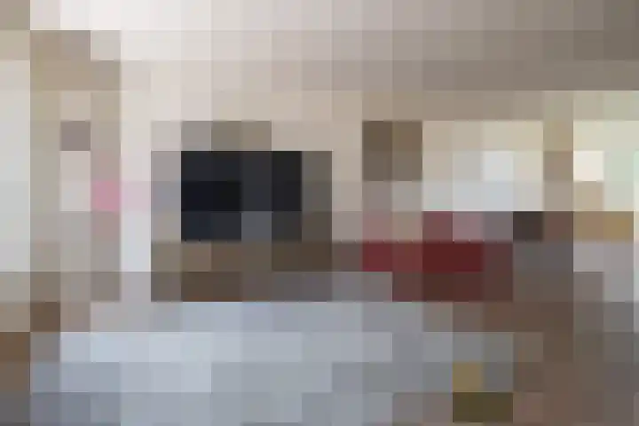 de Moriaan 27 Oirschot thumbnail 10