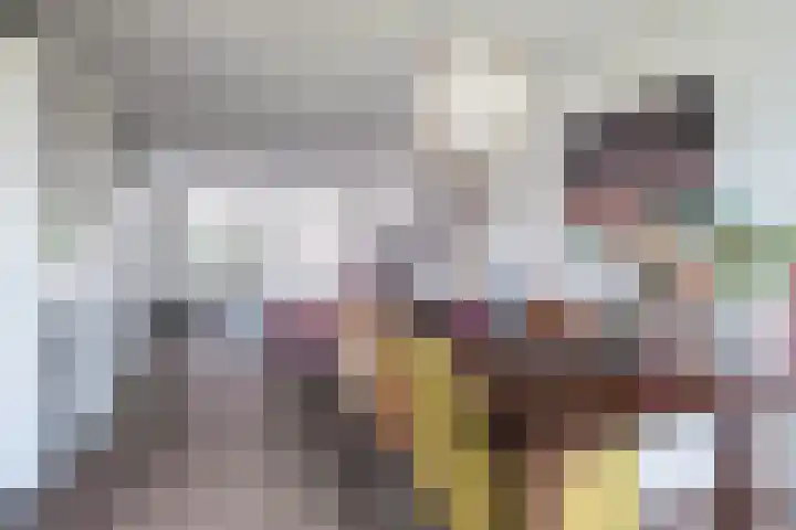 de Moriaan 27 Oirschot thumbnail 12