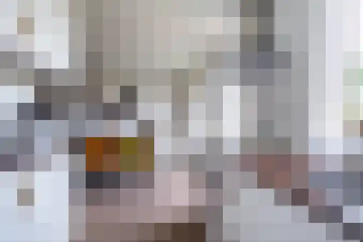 de Moriaan 27 Oirschot thumbnail 17