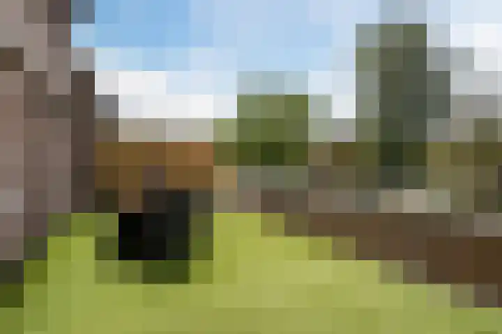 de Moriaan 27 Oirschot thumbnail 19