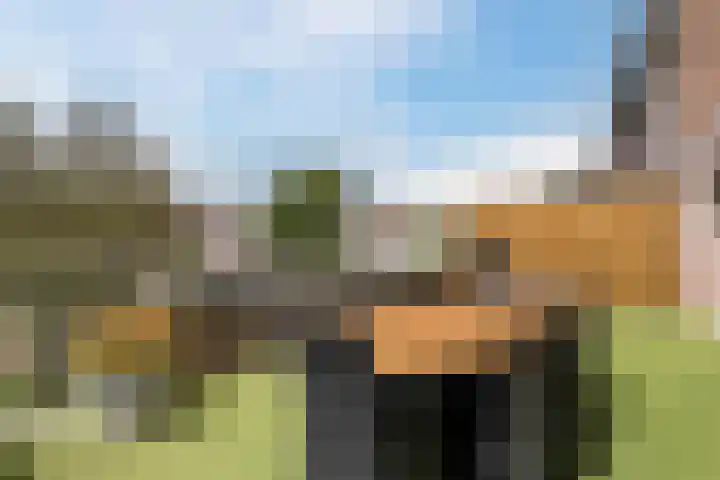 de Moriaan 27 Oirschot thumbnail 20