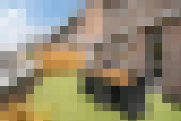 de Moriaan 27 Oirschot thumbnail 21