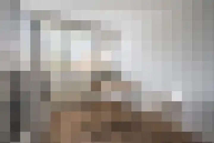 de Moriaan 27 Oirschot thumbnail 22