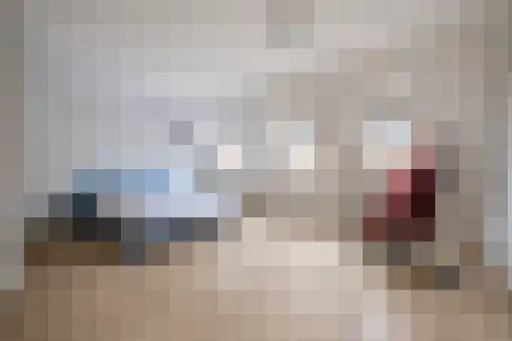 de Moriaan 27 Oirschot thumbnail 26