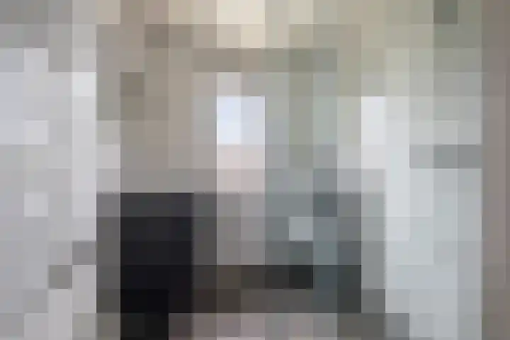 de Moriaan 27 Oirschot thumbnail 27
